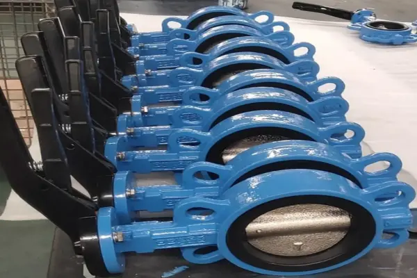 Butterfly valve China